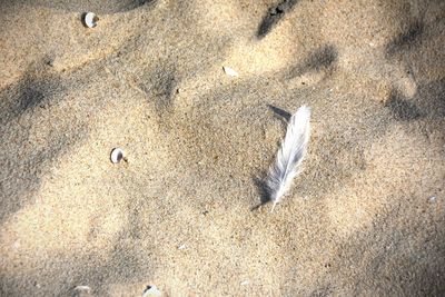 View of sandy beach