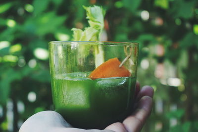 Cropped hand of person holding celery juice