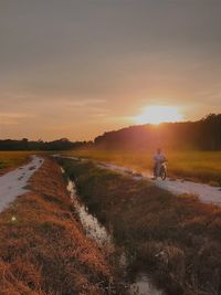 Man riding motorcycle on paddy field against sky during sunset