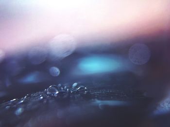 Extreme close up of blurred background