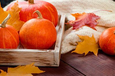 High angle view of pumpkin on table