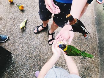 Low section of people feeding birds