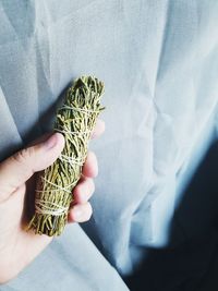 Close-up of cropped hand holding herbs tied with thread