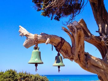 Low angle view of tree against clear blue sky