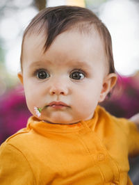 Portrait of a beautiful little caucasian baby girl with a daisy in her mouth in a yellow bodysuit