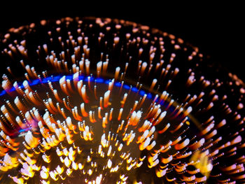 Close-up of illuminated lighting equipment against black background