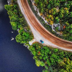 High angle view of road amidst trees