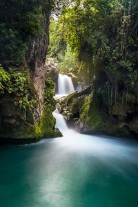 Water flowing through rocks in forest