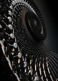 Close-up of snake
