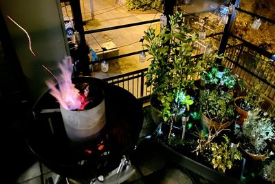 High angle view of potted plants in yard