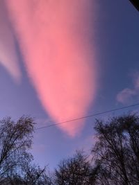 Low angle view of silhouette trees against sky