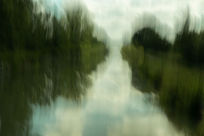 Scenic view of wet trees against sky