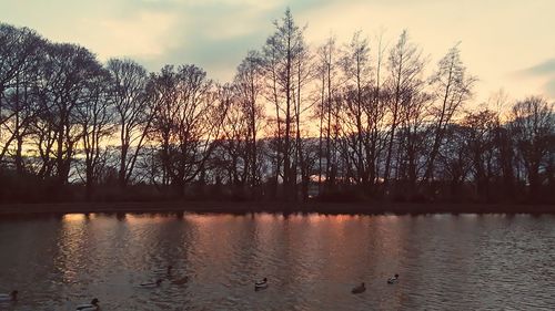 Silhouette trees by lake against sky during sunset