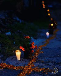 Illuminated flower pot on plant at night