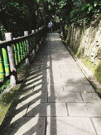 Footpath amidst trees