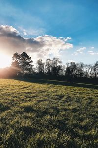 Scenic view of field against sky during sunset