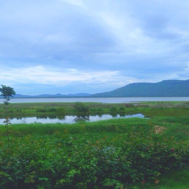 tranquil scene, mountain, sky, tranquility, scenics, beauty in nature, water, lake, mountain range, nature, landscape, cloud - sky, grass, cloud, plant, growth, idyllic, non-urban scene, countryside, green color