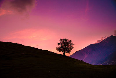 Silhouette tree on mountain against sky during sunset