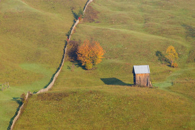 Scenic view of field during autumn