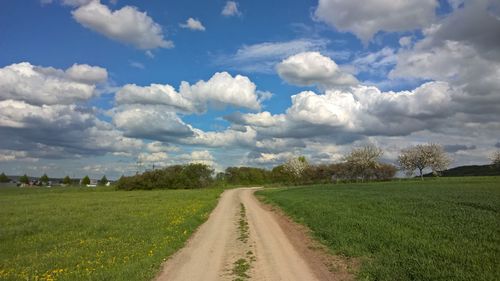 Surface level of green landscape against sky