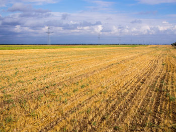 Scenic view of agricultural field against sky