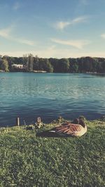 Scenic view of lake against sky