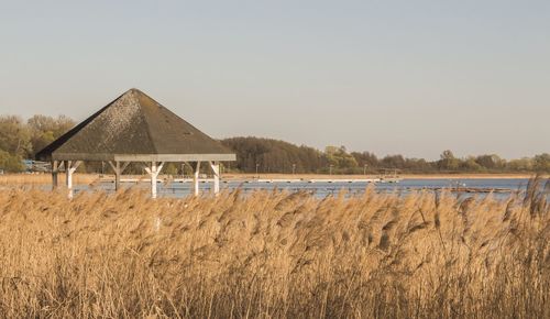 Scenic view of field against clear sky