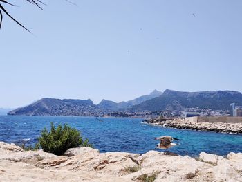 Scenic view of sea against clear sky