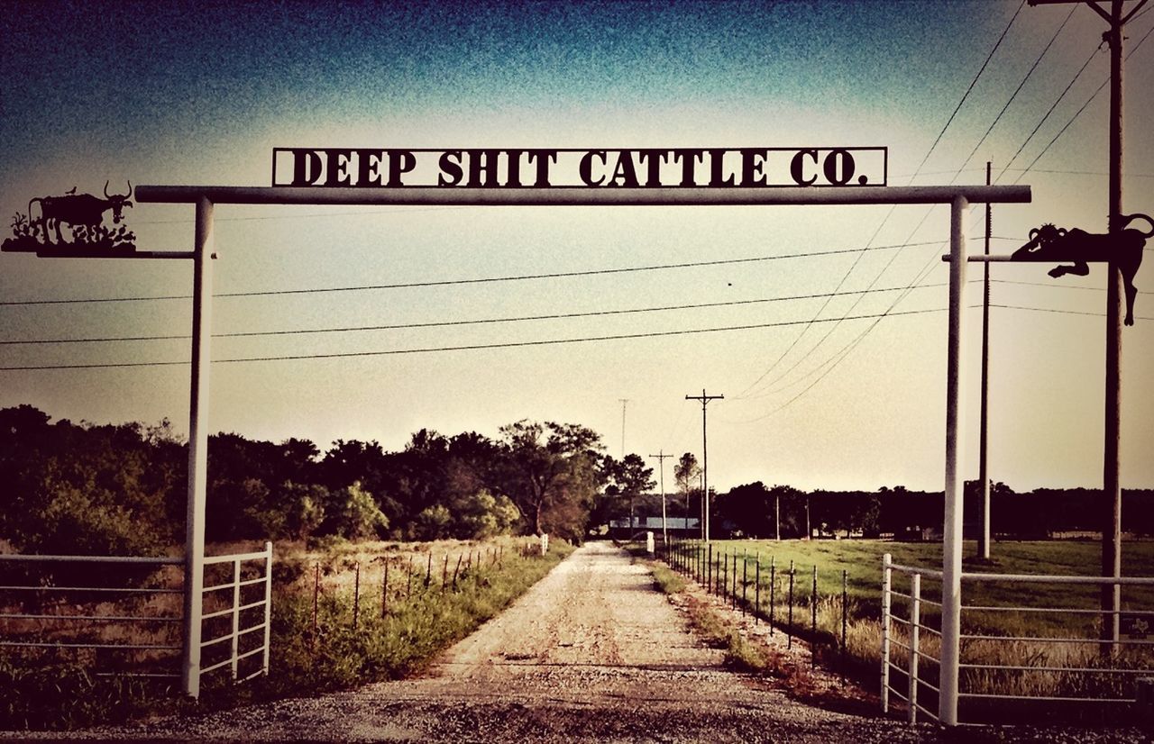 Deep Shit Cattle Co.