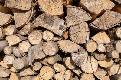 Full frame shot of logs in forest