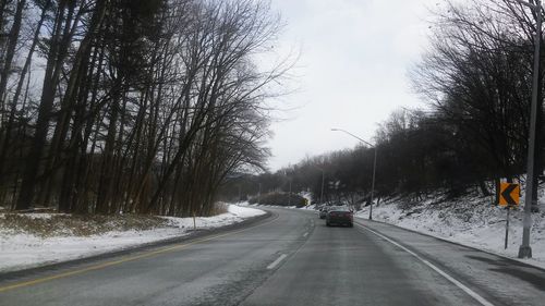 Road passing through trees