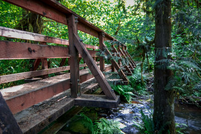 Wooden bridge in forest