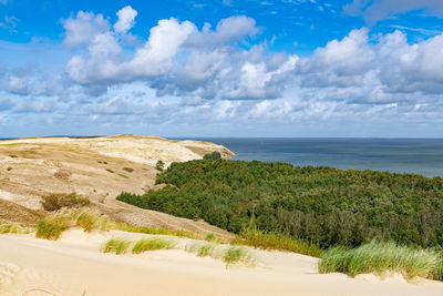 Nagliai nature reserve in neringa, lithuania. dead dunes, sand hills built by strong winds