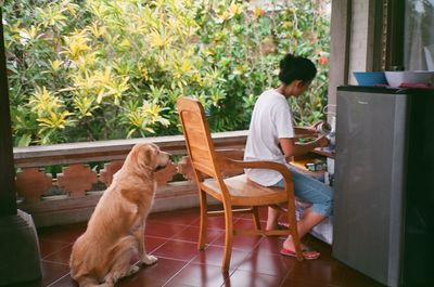 Rear view of woman with dog in front of dog