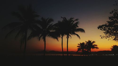 Silhouette palm trees at beach against sky at sunset