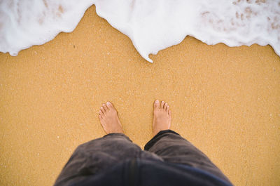 Low section of person standing on beach