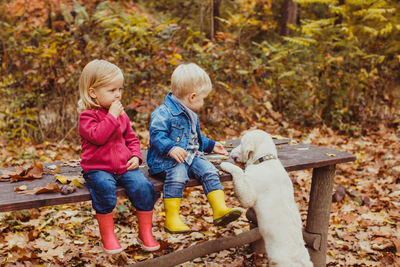 Cute kids with dog on bench outdoors