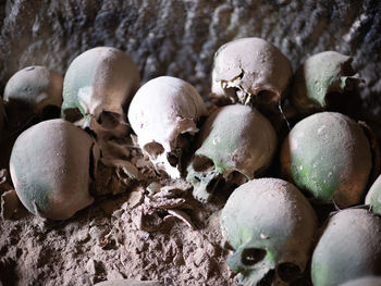 High angle view of human skulls