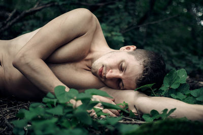 Portrait of young man sleeping on plant