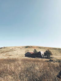 Scenic view of field against clear sky