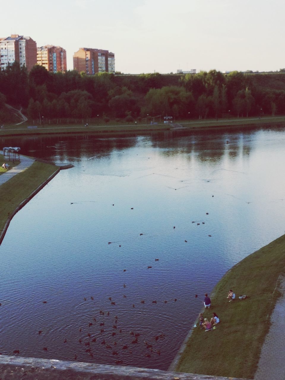 water, building exterior, animal themes, architecture, bird, built structure, tree, lake, reflection, animals in the wild, river, swimming, wildlife, duck, waterfront, pond, high angle view, day, nature, outdoors