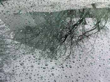 Close-up of water drops on glass