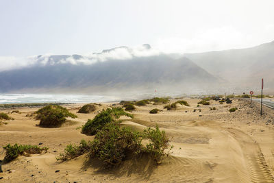 Scenic view of beach against sky