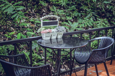 Potted plants on table amidst chairs in balcony