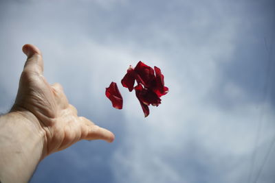 Close-up of hand holding red rose against sky