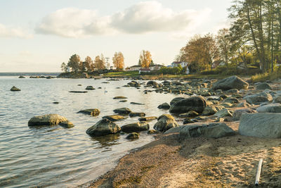 The beach of baltic sea at kasmu fishing village with the huge rocks