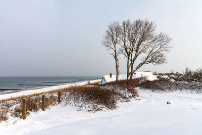 Bare tree by sea against sky during winter