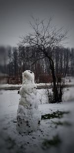Bare trees on field against sky during winter