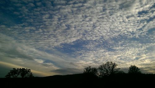 Silhouette of trees against cloudy sky