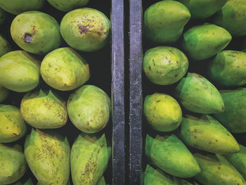 High angle view of fresh green mangoes with natural condition